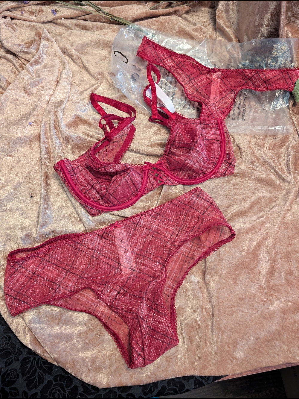 Sheer Plaid Sparkle Bra, Brief & Thong Set